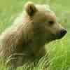 manwe77 Avatar